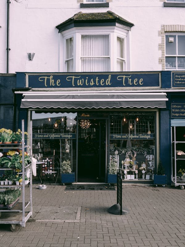 Maximisez votre confort avec le store banne solaire surya